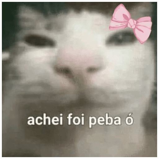 ↯CAF፝֟Eꦿ⃟☕ZI፝֟NHA🎀̸̷໋ 9