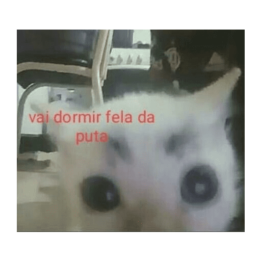 ↯CAF፝֟Eꦿ⃟☕ZI፝֟NHA🎀̸̷໋ 12