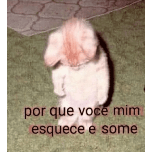 ↯CAF፝֟Eꦿ⃟☕ZI፝֟NHA🎀̸̷໋ 13