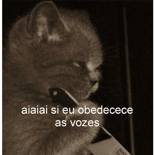 ↯CAF፝֟Eꦿ⃟☕ZI፝֟NHA🎀̸̷໋ 19