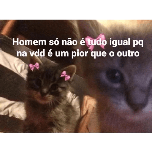 ↯CAF፝֟Eꦿ⃟☕ZI፝֟NHA🎀̸̷໋ 27