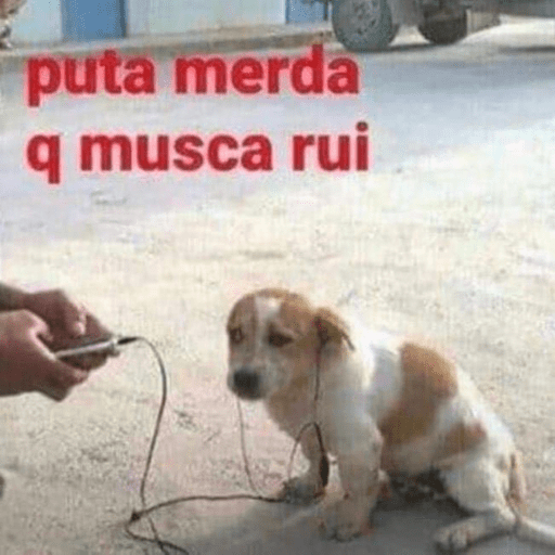 Memes em baixa qualidade  2