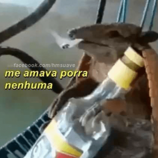 Memes em baixa qualidade  10