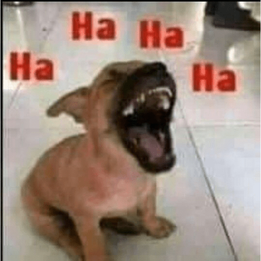 Memes em baixa qualidade  5