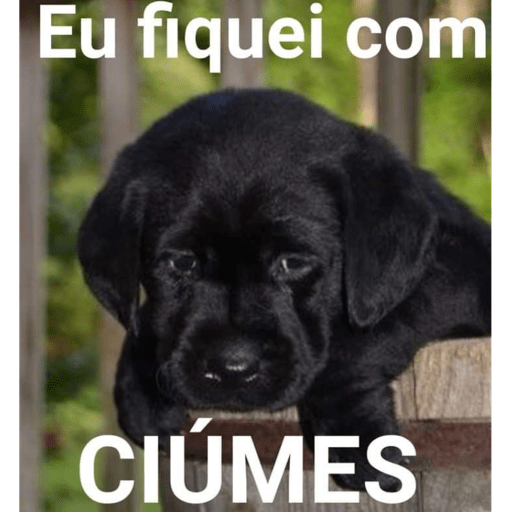 Esse pack ta muito bom 🤣 10