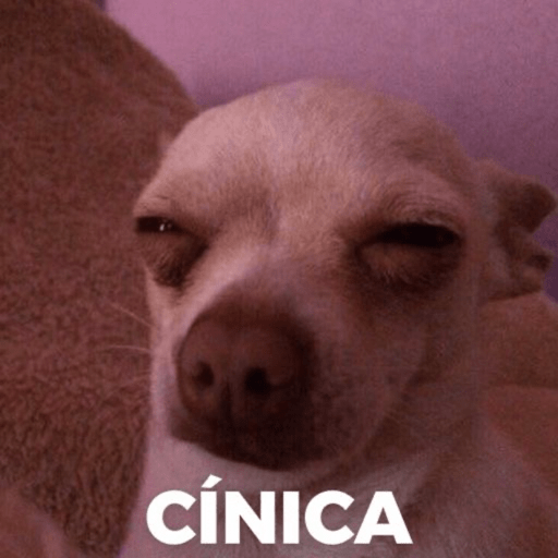 Memes pra você  9