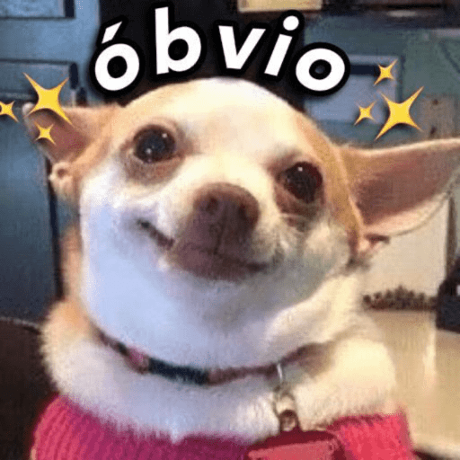 Memes pra você  15