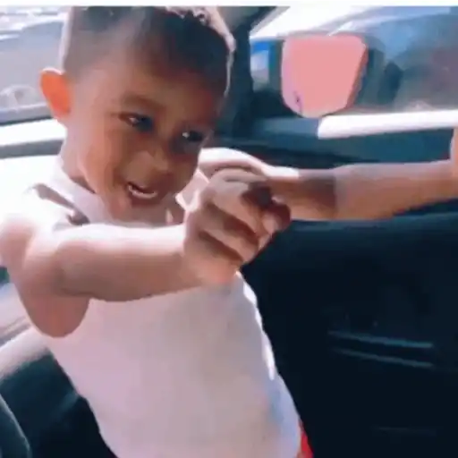 Memes que você precisa ter  11