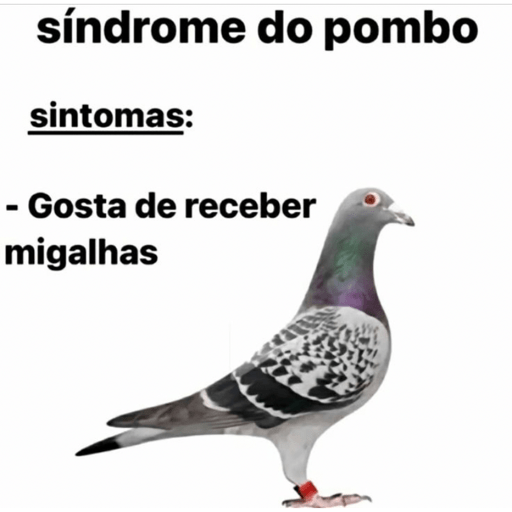 Variados memes  8