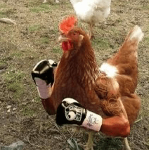 Pra você usar no dia a dia 14