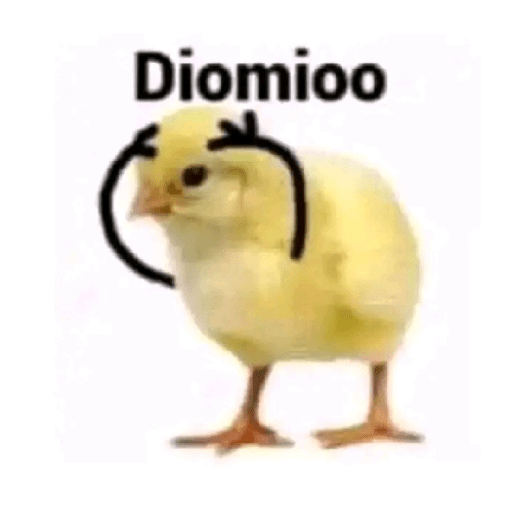 Miau 8