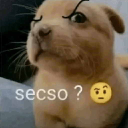 Miau 2