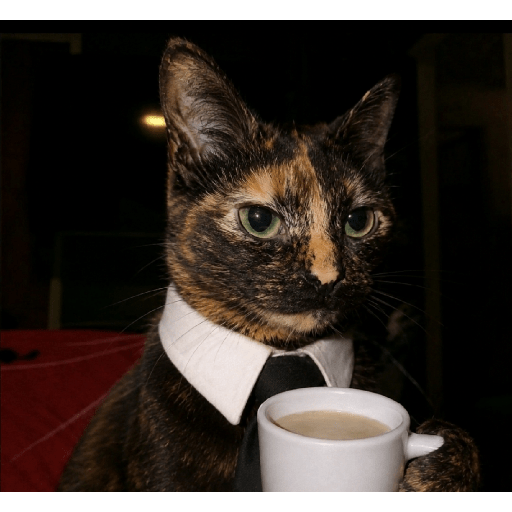 Miau 20