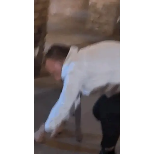 Gif meme 12
