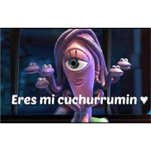 Compañeros  5