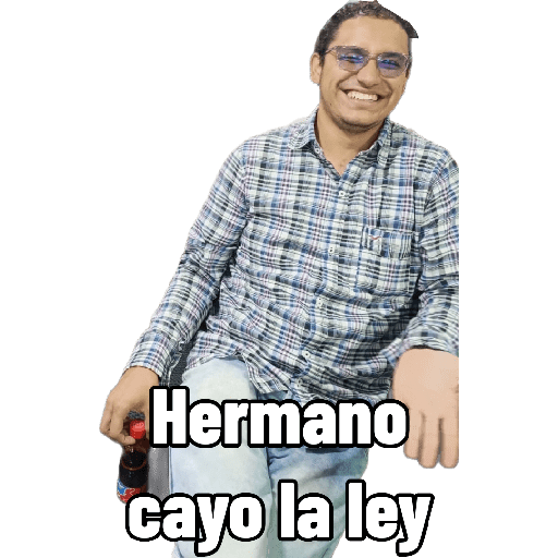 Compañeros  3