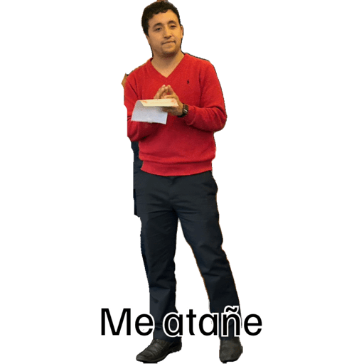 Compañeros  12