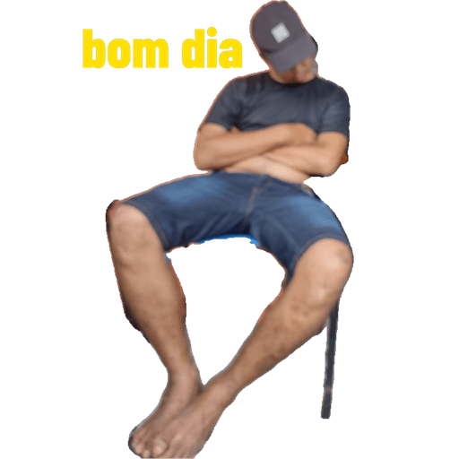 Minhas figurinhas 1
