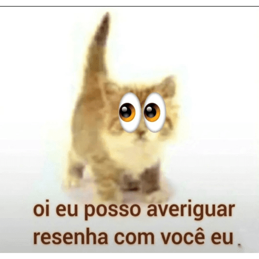 Secso 10