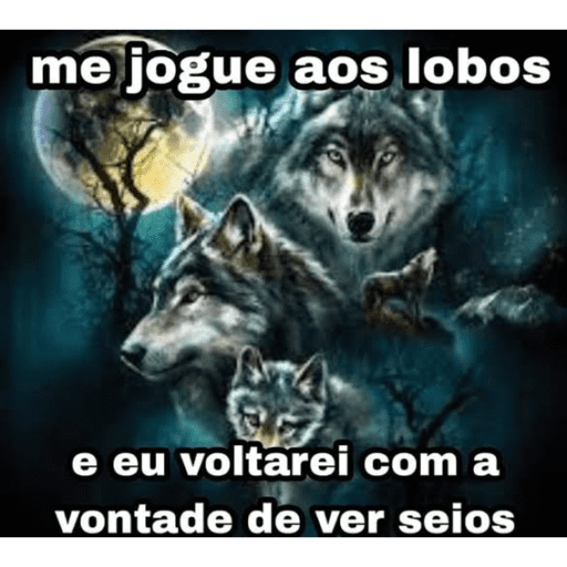 Secso 2