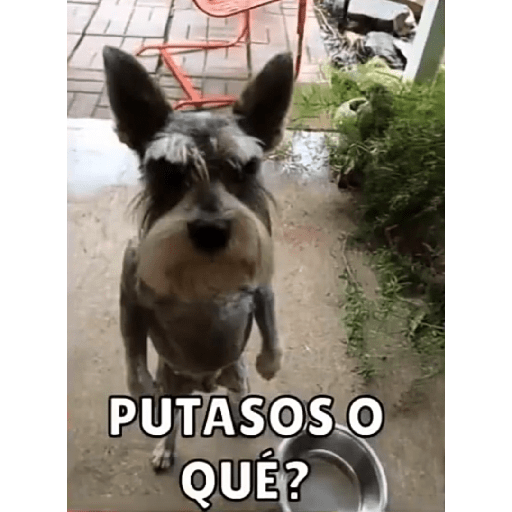 Stikersparahumillar 3