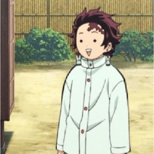 Kimetsu no yaiba 1 8