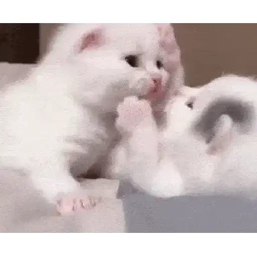 MadLy Cute - Sticks 13
