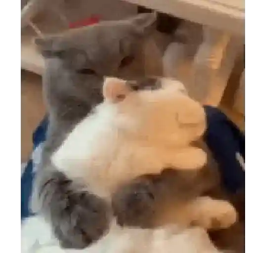MadLy Cute - Sticks 16