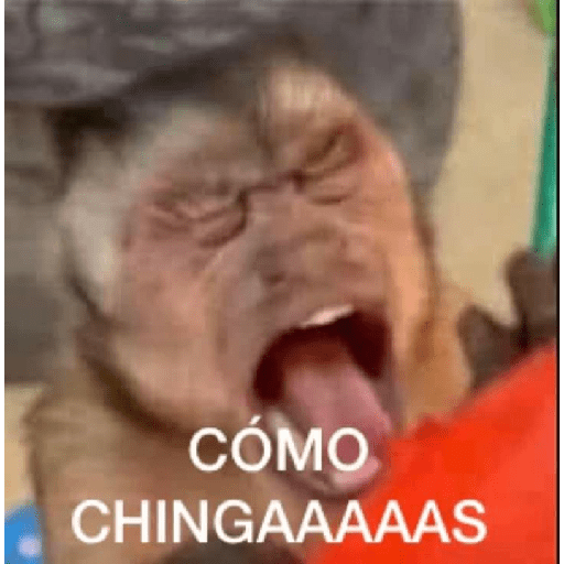 Changos3 8