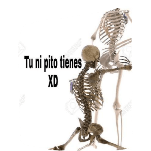 Esqueletos de memes 😃👍 3