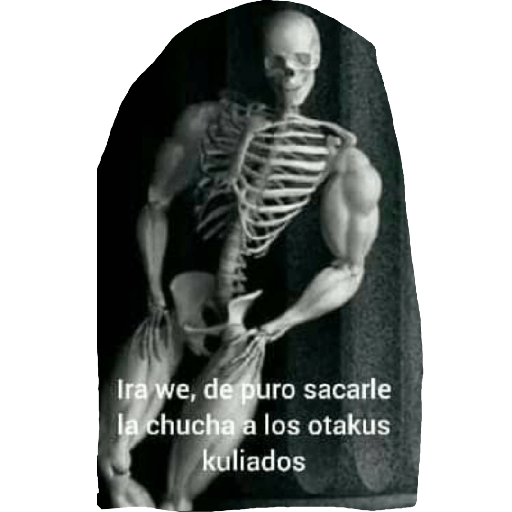 Esqueletos de memes 😃👍 1