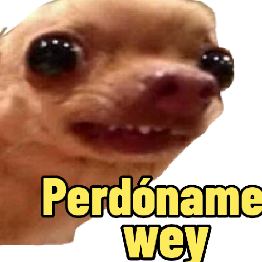 Perritos con frases random 🐶 12