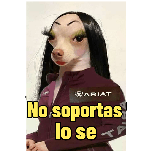 Perritos con frases random 🐶 14