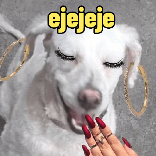Perritos con frases random 🐶 17