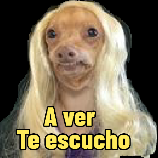 Perritos con frases random 🐶 8