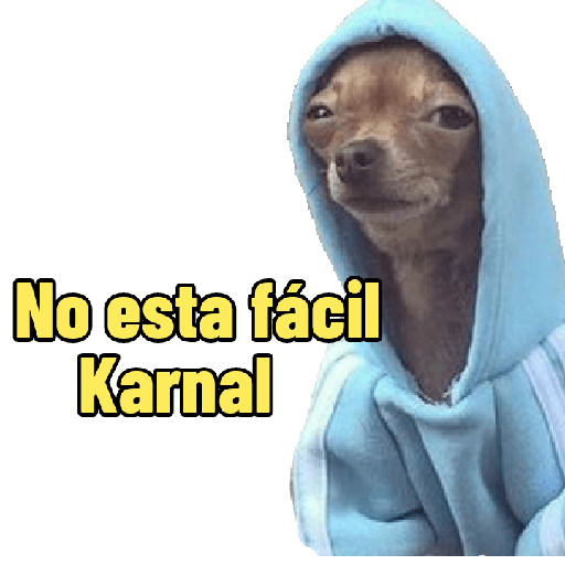 Perritos con frases random 🐶 10