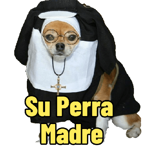 Perritos con frases random 🐶 11