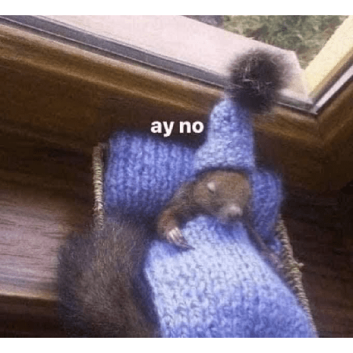 Bonitos 14