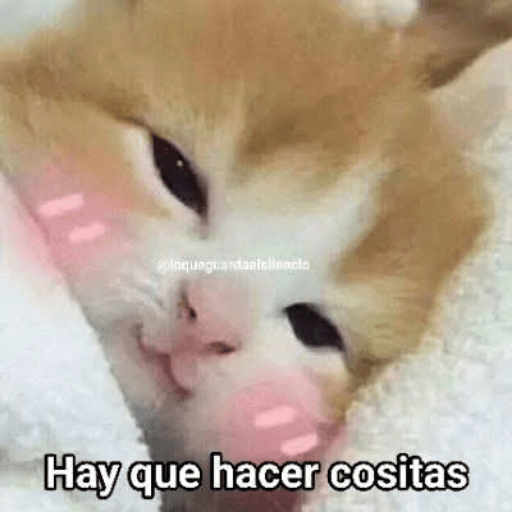 Bonitos 12