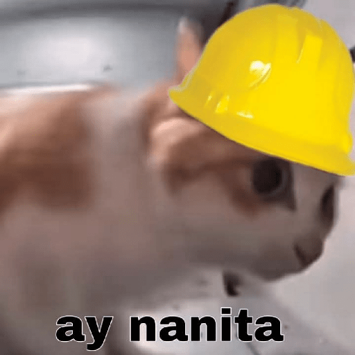 Bonitos 29