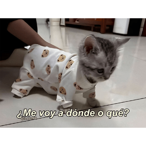 Bonitos 28