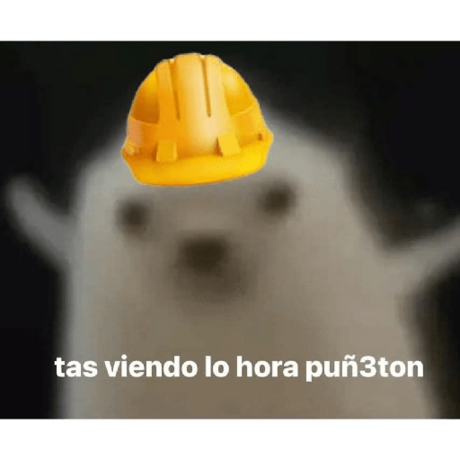 Bonitos 26