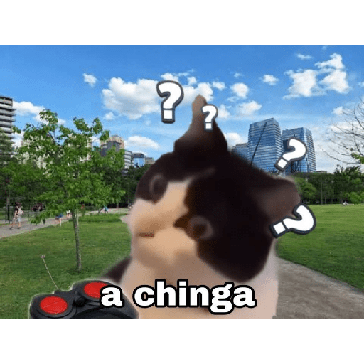 Bonitos 22