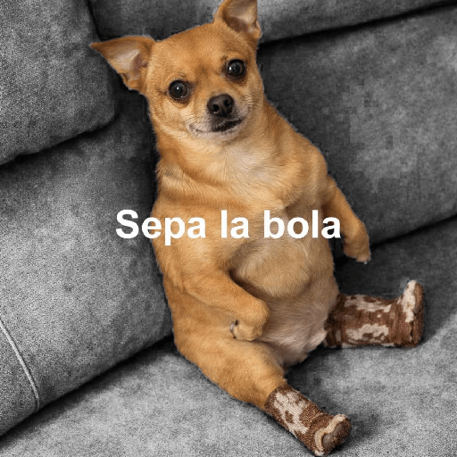 Bonitos 20
