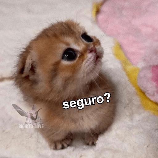 Bonitos 4