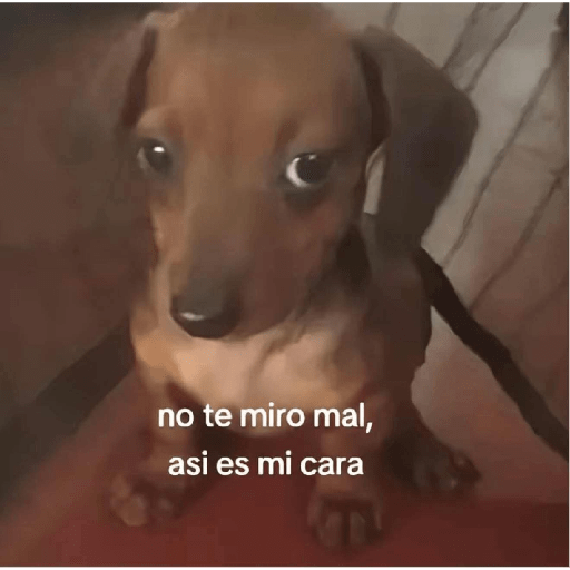 Bonitos 5