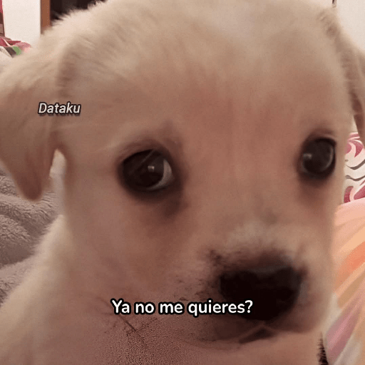 Bonitos 8