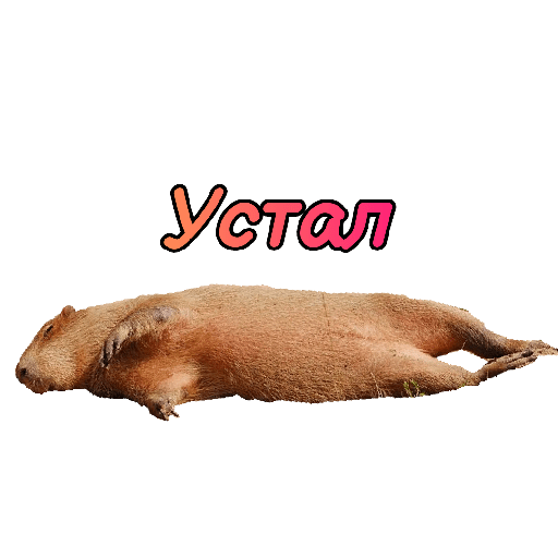 1526347770.png