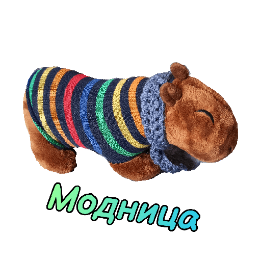 1699315559.png