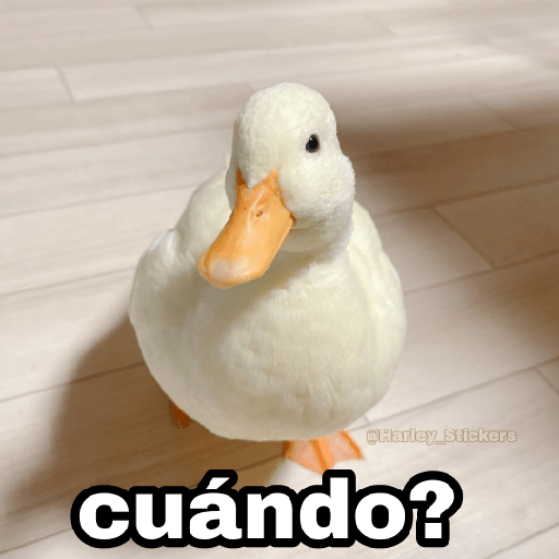 Animalitos con frases 7 ️😎